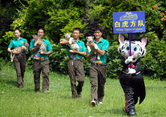 动物趣味运动会开锣迎亚运