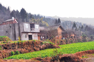 回茶坪村（新春走基层）