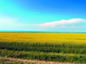 最美时节骑行青海湖 怀旧洛宾曲