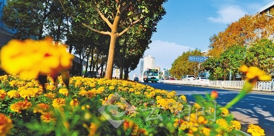 市民文明监督团与记者“验收”昆明整治道路