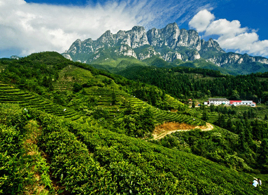 庐山：不识庐山真面目 只缘身在此山中