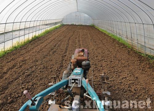 蔬菜大棚帮助青川灾区农民走上致富道路