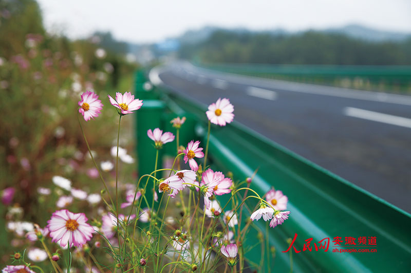 皖赣又添快速通道 黄祁高速今日正式通车