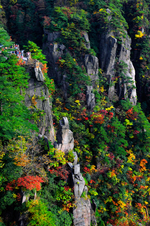 中秋在黄山，找寻那轮明月