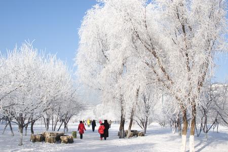 长白山:冰天雪地泡温泉