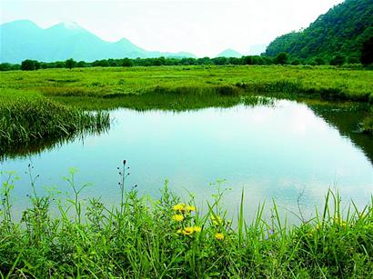 大九湖：浑然天成湿地美景