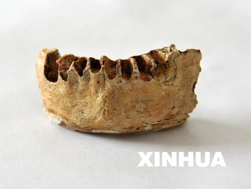 广西发现早期现代人下颌骨距今11万年左右