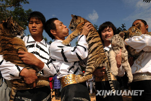 广州香江野生动物世界虎园奠基