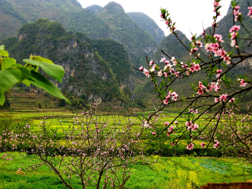 云南文山坝美：桃花雨 杨柳风