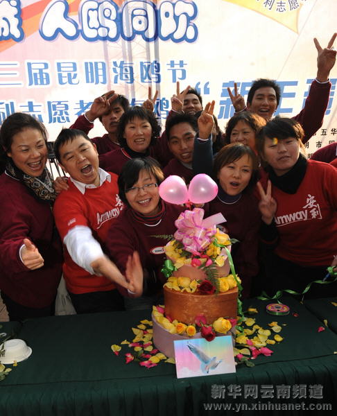 昆明为红嘴鸥打造新年蛋糕