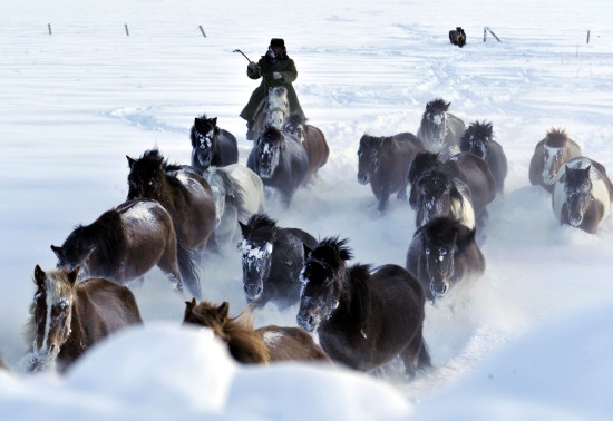 新疆发生雪灾5000余人转移1人死亡(组图)