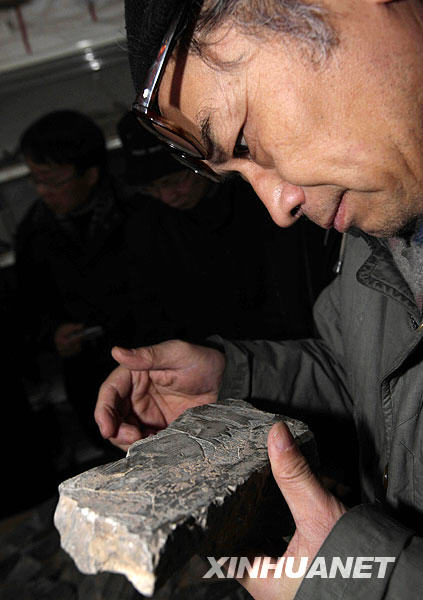 考古专家团在安阳考察“曹操墓”