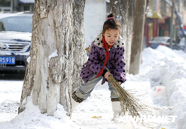 新疆北部遭受60年不遇暴雪天气