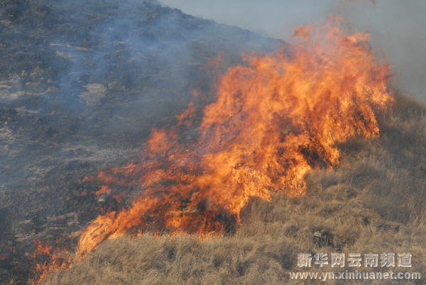 云南曲靖扑灭突发山火