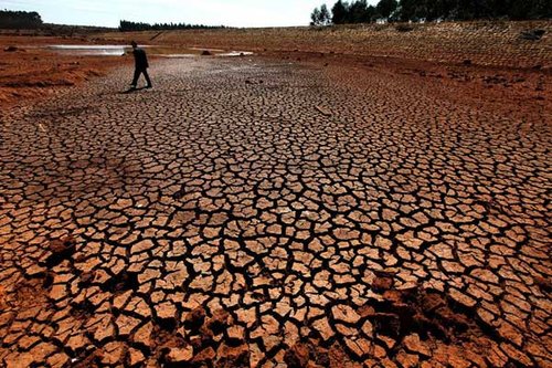 云南遭50年一遇特大旱灾 385万人饮水困难(图)