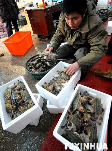 天津积极组织海鲜货源填补市场空缺
