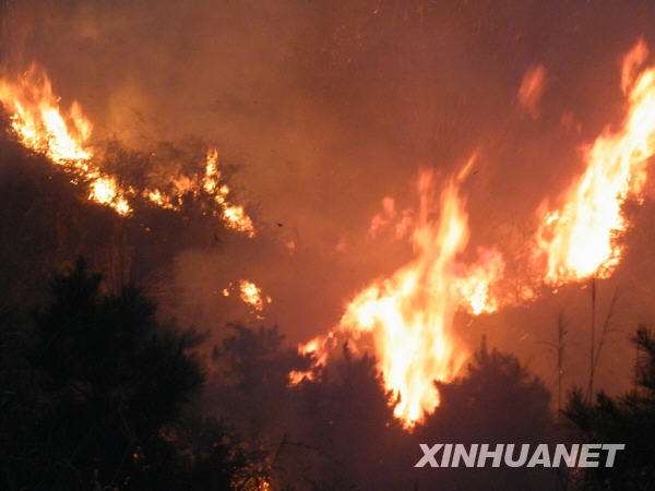 湖南省湘乡发生森林大火 百亩森林被烧[图]