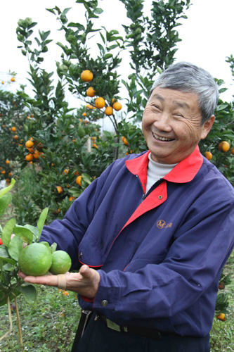 台湾果农林茂盛：在大陆洒下希望的种子