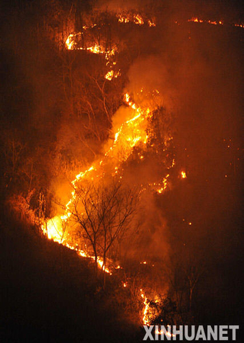 广西百色林场发生森林火灾 逼近自然保护区