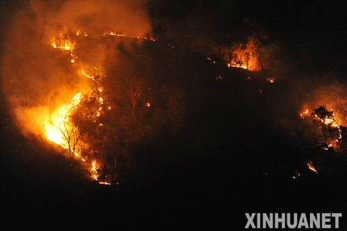 广西百色林场发生森林火灾 逼近自然保护区