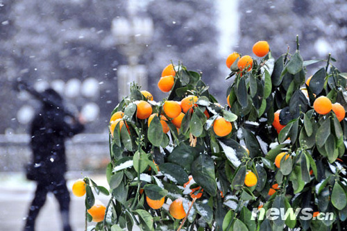 风雪天安门