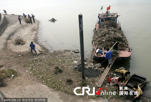 杭州钱塘江打捞出550头死猪尸体
