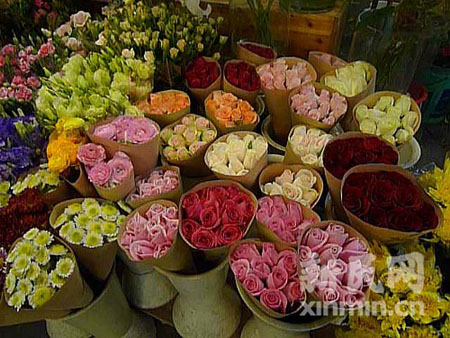 云南旱情影响鲜花销售 玫瑰单支售价上涨50%