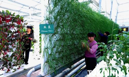 天津推广新型物理农业技术