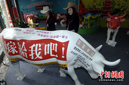 中国大陆首个国际奔牛节厦门上演