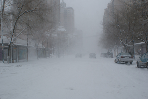 哈尔滨突遇40年罕见大雪