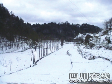 雷电雨雪“四重天” 广元4月飘起大雪