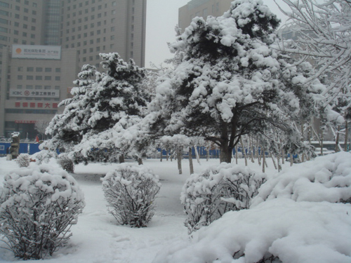 4月16日晨长春普降瑞雪