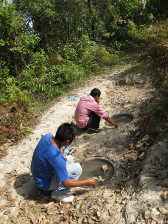 南滚河自然保护区：一边干旱人工补水一边引水帮助受灾边民
