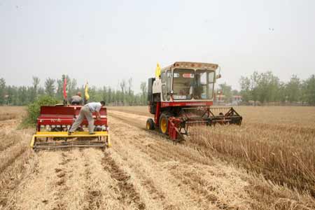 永城164万亩小麦喜获丰收 预产15亿斤