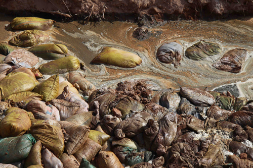 福建紫金矿业废水污染汀江流域 数百万斤死鱼被掩埋