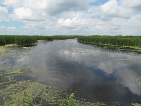 安邦河湿地公园