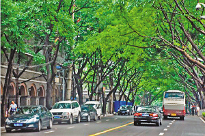 重庆20条最美街道评选出炉 市民感叹家乡巨变 图
