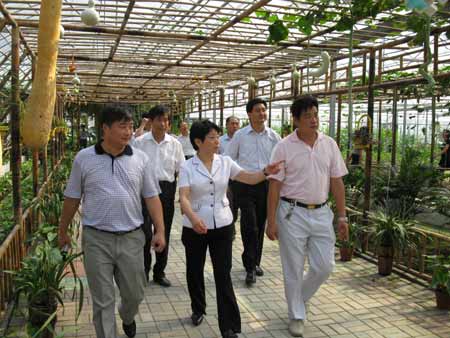 江苏副省长黄莉新考察黄桥老区现代高效农业