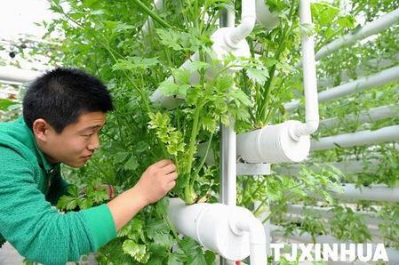 天津高端科技发展农业