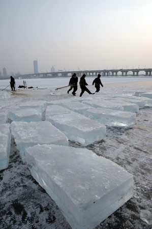 第十二届哈尔滨冰雪大世界采冰工程全面启动