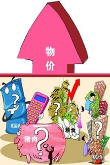 迎接中央经济工作会议：通胀隐忧下的民生新期盼