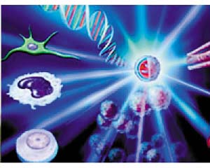 美科学杂志公布十大科学突破 中国两项上榜(图)