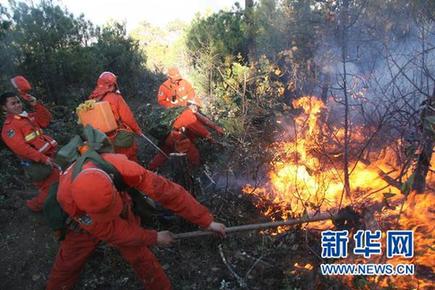 云南省玉龙县森林大火已基本扑灭 火灾原因在调查中