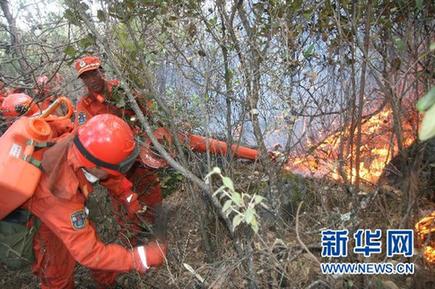 云南省玉龙县森林大火已基本扑灭 火灾原因在调查中