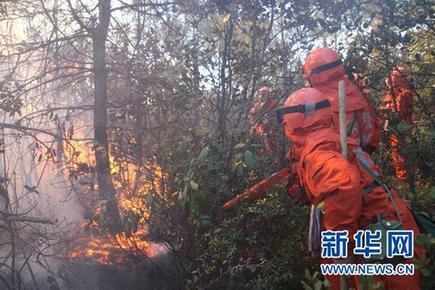 云南省玉龙县森林大火已基本扑灭 火灾原因在调查中