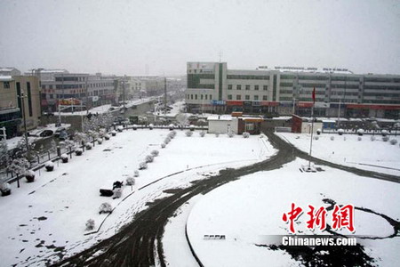 张家口坝上地区四月飞雪 农民称“及时雪”