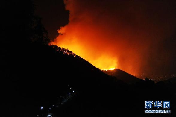 重庆国家级森林公园发生火灾 面积已超300亩