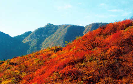 少林功夫甲天下 嵩山红叶醉迷人