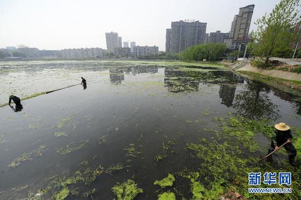 数百湖泊“人间蒸发” 地产商填湖建房触目惊心