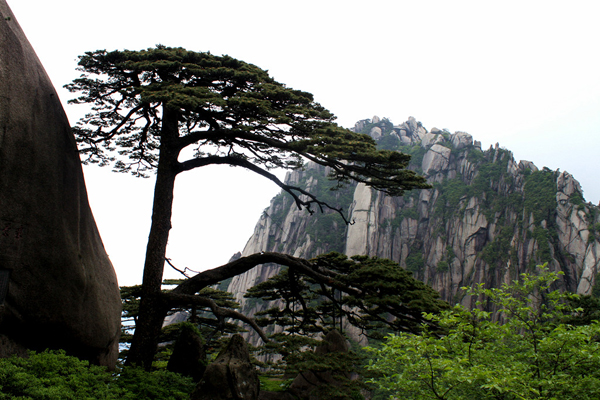 图说安徽 雾锁黄山